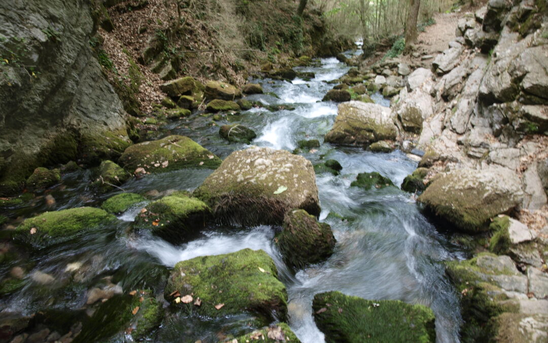Estudiem la gea dels cursos fluvials on habita el Tritó del Montseny